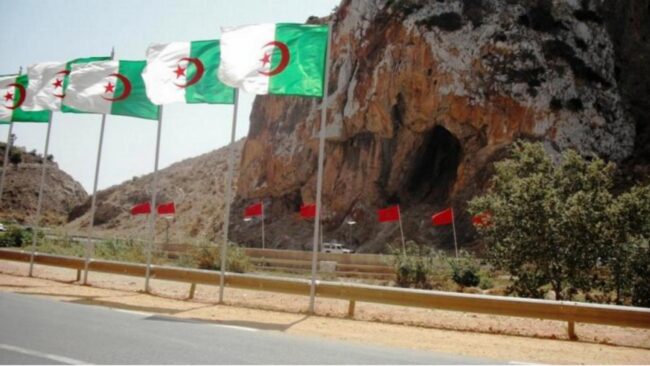 مغرب تايمز - الجزائر تفتح حدودها البرية مع المغرب "زوج بغال"