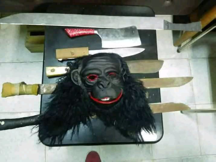 مغرب تايمز - اعتقال مختل عقلي "مقنع" بحوزته منظار وأسلحة بيضاء