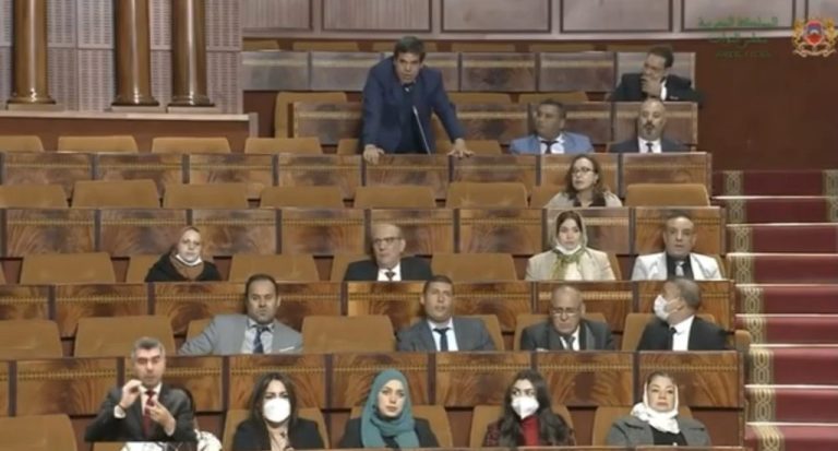 مغرب تايمز - البرلماني الحركي يشرح مطلبه.. "نريد حكومة جش عش هش بش.. لا حكومة كش مش نش"