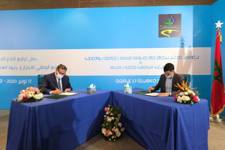 مغرب تايمز - استقالة جماعية ل"جبهة العمل الأمازيغي"