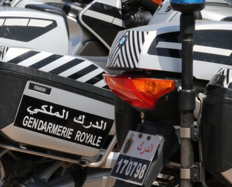 مغرب تايمز - من يحمي "إجرام" عصابات التهريب كلميم واد نون ؟!