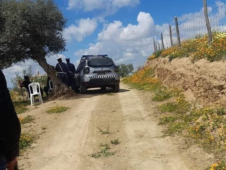 مغرب تايمز - إستنفار أمني بعد قطع حوالي 700 شجرة اللوز والزيتون بالخميسات