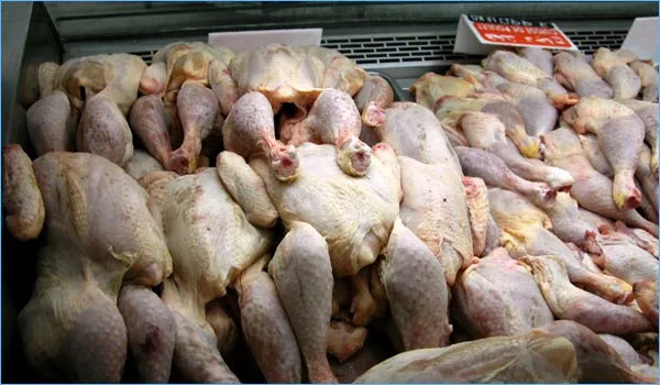 مغرب تايمز - بمساعدة "الديستي".. ضبط طن و953 كيلوغرام من لحوم الدواجن الفاسدة