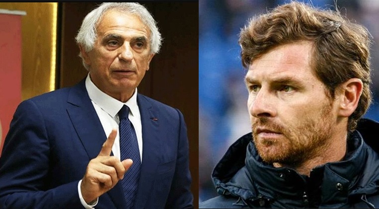 مغرب تايمز - إعلام فرنسي: مدرب برتغالي أبرز المرشحين لخلافة خاليلوزيتش