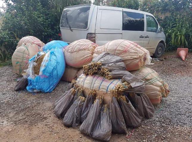 مغرب تايمز - مداهمة ضيعة فلاحية وحجز كميات من الحشيش في سيدي بيبي