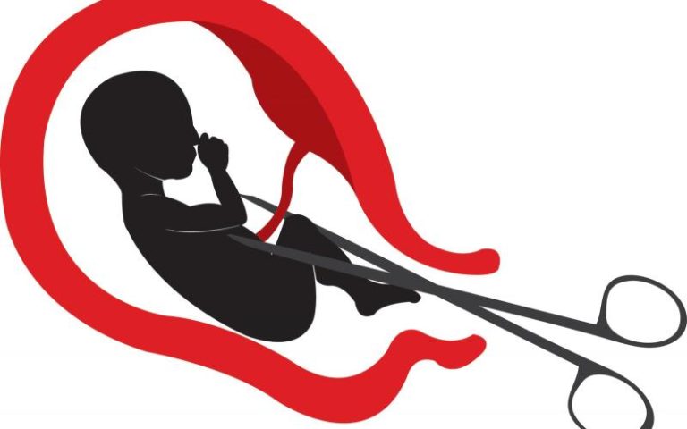 مغرب تايمز - المغرب.. تقرير يطالب بتأطير الإجهاض