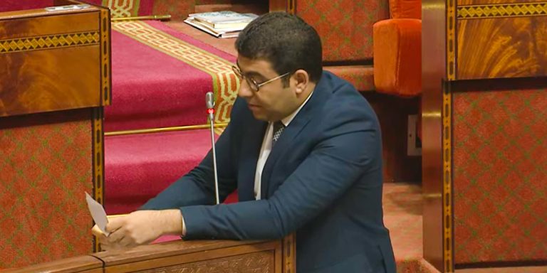 مغرب تايمز - بطاقة الفنان تثير جدلا في البرلمان وفنان يرد