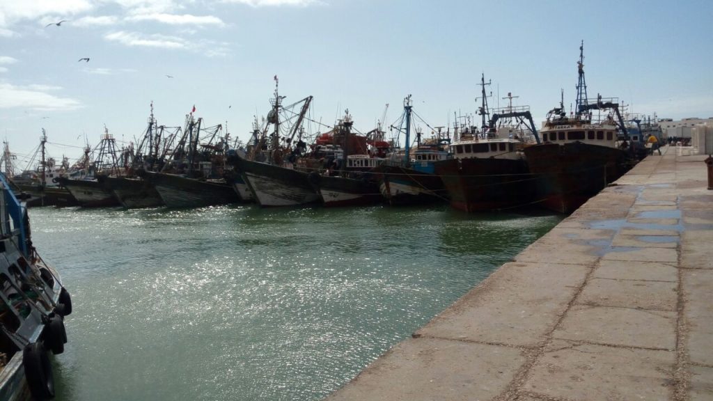 مغرب تايمز - تمديد الراحة البيولوجية يدخل آلاف البحارة في "عطالة إجبارية"