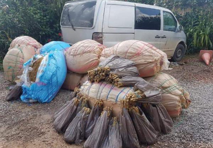 مغرب تايمز - درك تارودانت يحصلُ على صيد ثمين من"المخدرات" بعد مداهمة ضيعة فلاحية