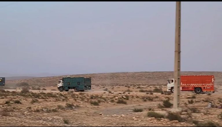 مغرب تايمز - تزنيت.. "الغرامة المالية" لصاحب شاحنات الترحال الرعوي