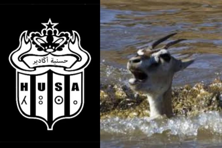 مغرب تايمز - "حسنية أكادير" تشق طريقها نحو قسم الهواة