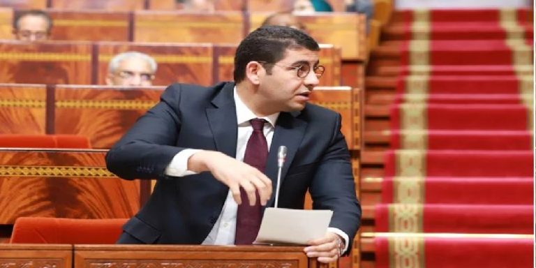 مغرب تايمز - وزارة الثقافة تستعين بالمؤثرين لحماية التراث المغربي