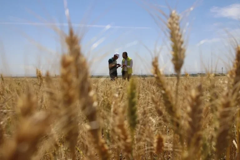 مغرب تايمز - المغرب يتقدم كرابع أكبر مصدر للأسمدة في العالم