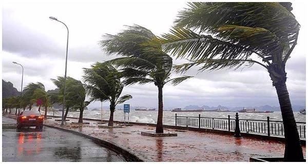 مغرب تايمز - نشرة إنذارية: زخات رعدية ورياح قوية مرتقبة اليوم