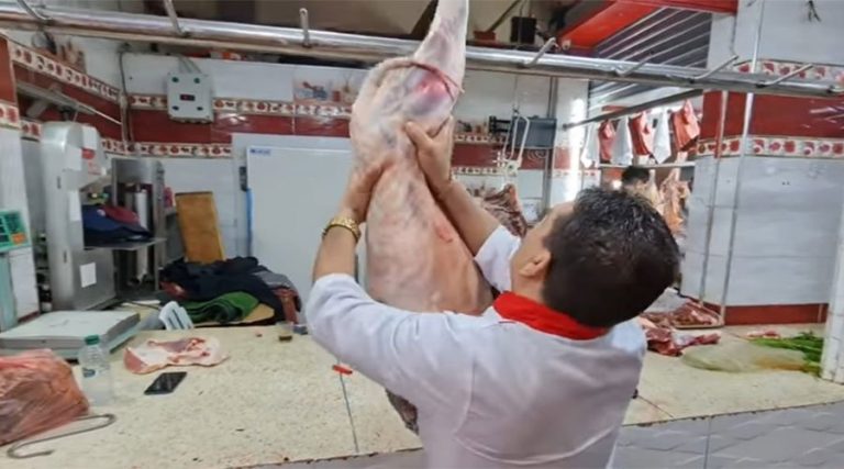 مغرب تايمز - ٱخر تطورات قضية عصابة الذبيحة السرية التي يتزعمها قيادي في الأحرار