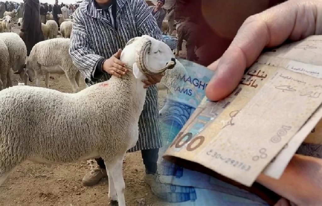 مغرب تايمز - لهيب الأسواق يدفعُ الأسر إلى تعليق شراء الأضاحي